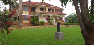 Grid Image